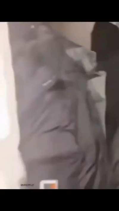 What is the original? I can't find anything about this online