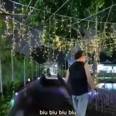 This is the next level of partying