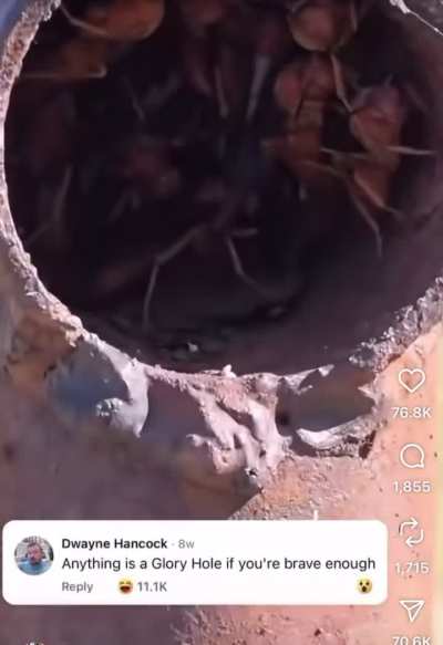 This inconspicuous pipe