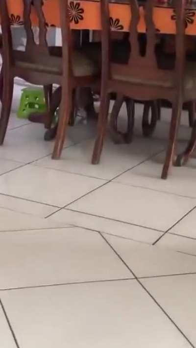 Late cut but still cute 