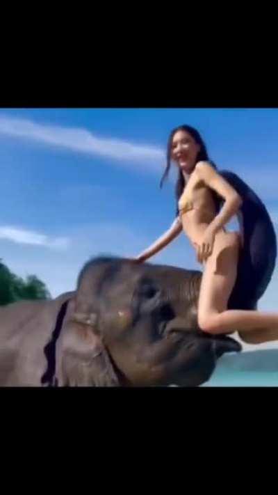 Hmc while i Ride an elephant