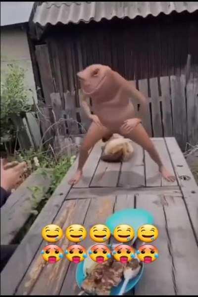 Cring frog😡😡😡😡😡