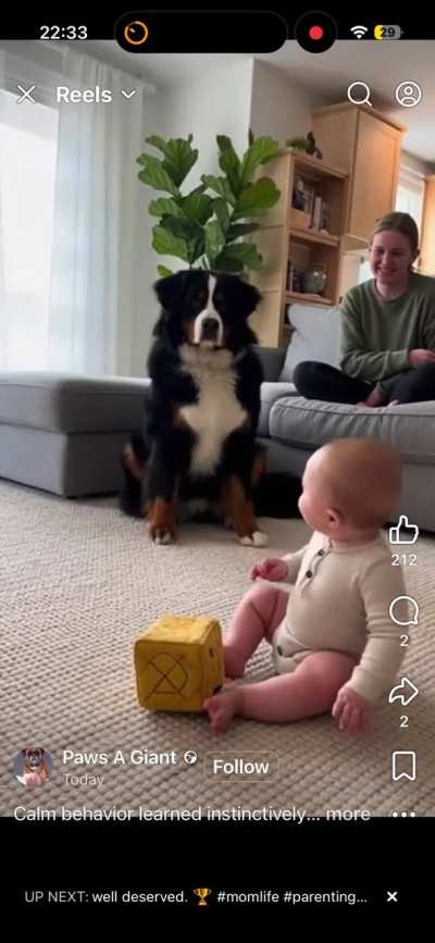Page on fb has tonnes of videos like this,seems AI to me cos the background has that weird AI effect I don’t know how to explain lol