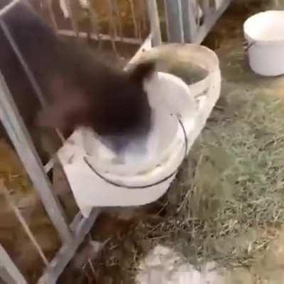 Erster Kaffee oder erstes Bier.