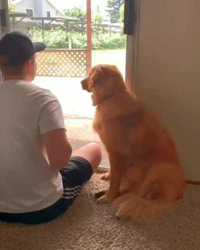 MoNsTeR TrIcKs InNoCeNt LiOn