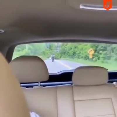 Trying to do a stunt