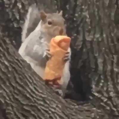 Not his first eggroll