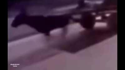 I laughed way too hard while making this.