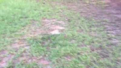 u/vintage_appleG4 told me to destroy the broke battery in my iPod so I did