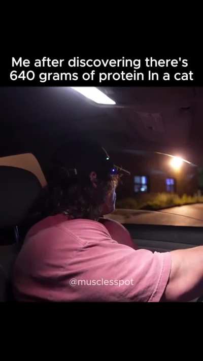 Doing this to my cat right now