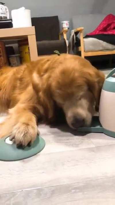 HI !! I know how to use the treat dispenser .