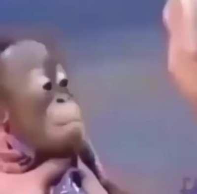 How about another joke monke?