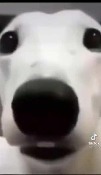 Do you put that on god? 🤨📸