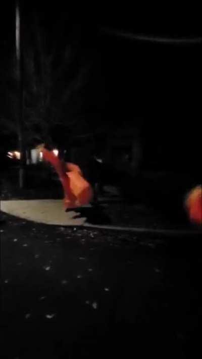 My kid was a little sad after not seeing any other costumes like his, and then this LEGEND of a teenager showed up and did what legends do.