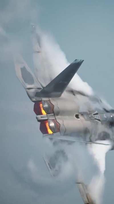 F22 Raptor filmed with a camera so fancy, you can see the vertical stabilizers get all wobbly
