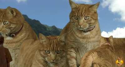Jurassic Park, but with cats instead of dinosaurs