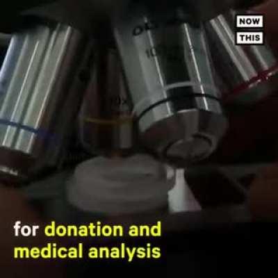 That's a great design