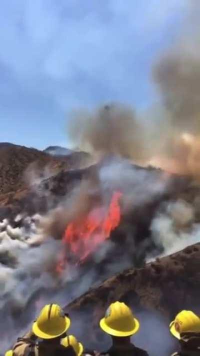Swooping into a burning canyon just to dump a load of Fire Retardent onto the blaze....