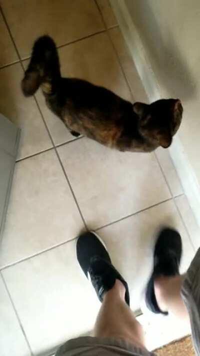 I was told you might enjoy this.