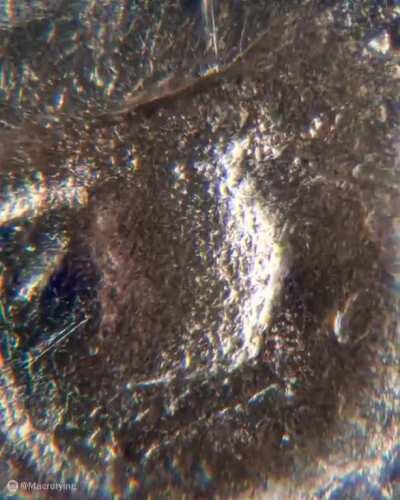 Macrozoom into a coin