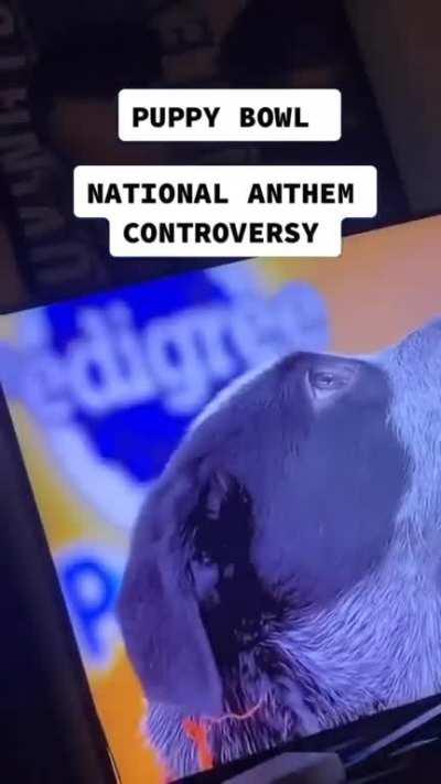 TIME FOR A NEW DOG 🦅🇺🇸🦅🇺🇸🦅🇺🇸🦅🇺🇸