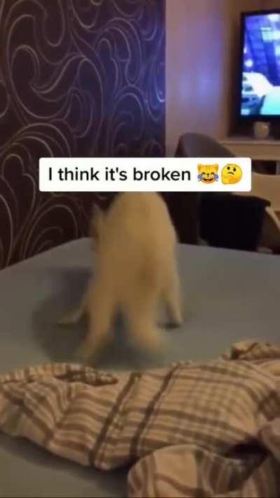 cat.exe has stopped working