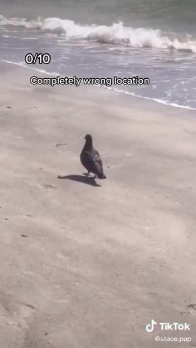 Wouldn’t be surprised if this girl “committed suicide” sometime soon after exposing this many drones 👀👀