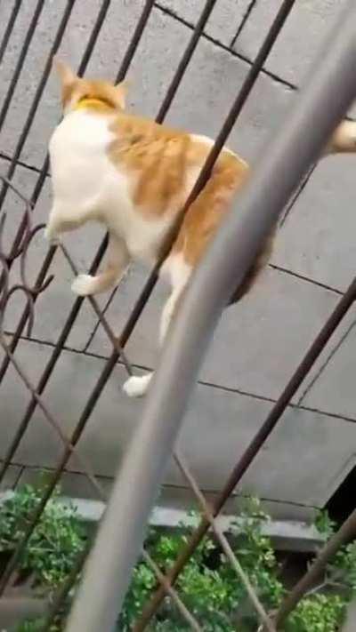 Просачивается