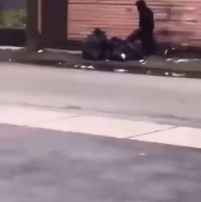 Hunter takes his Game home for a nice evening supper.