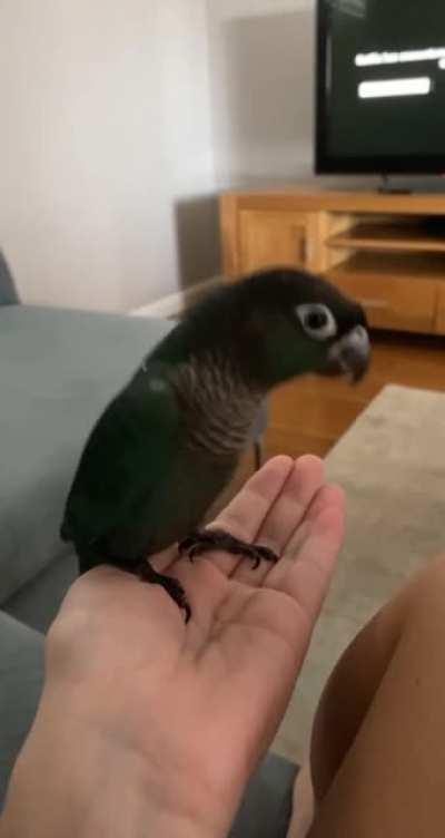 Mods are asleep. Post nature rocking out to metal