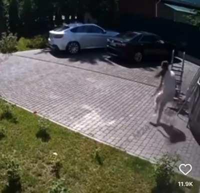 Monkey tries to abduct a baby