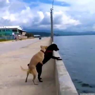 That happened quickly