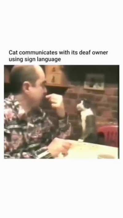 The way of communication is touching.