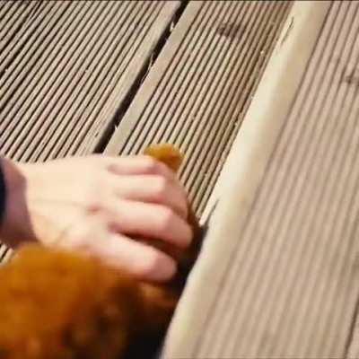 It's not very easy to climb up your giant ladder