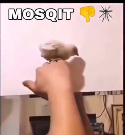 Mosqit 👎🦟