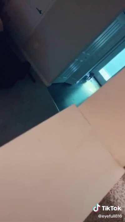 This guy and his cat have the sweetest dynamic