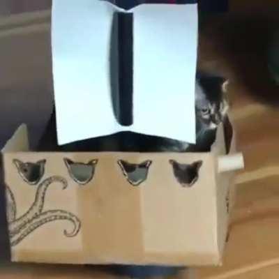 vacuum cleaner upgrade