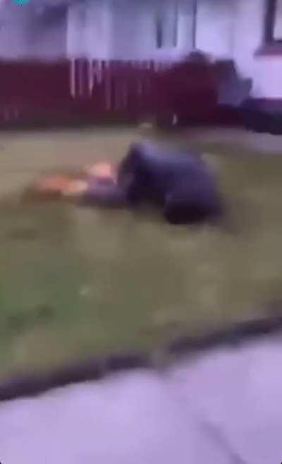 How NOT to get down off the roof