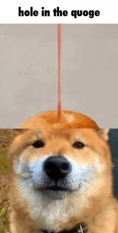 soge when silly chan refuses to kek for beanos and therefore wants him to pay the consequences for interrupting the golden quoge trial