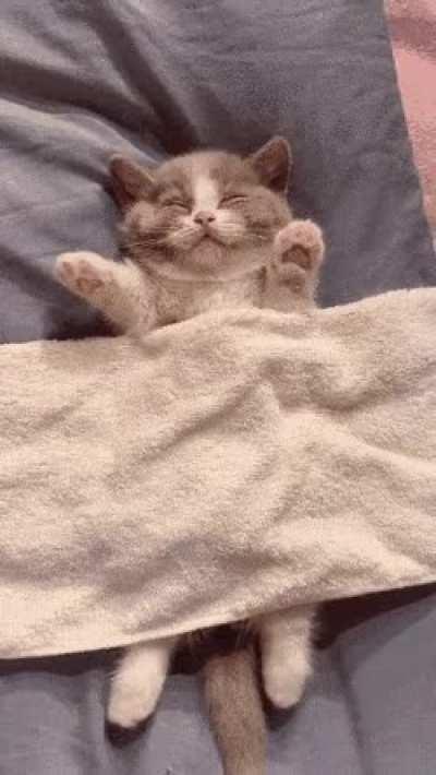 Dreaming of that perfect drum solo