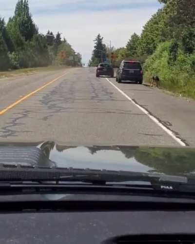 Crazy sh!t on the road today