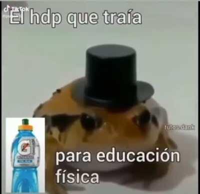 Elegancia mis panas, clase