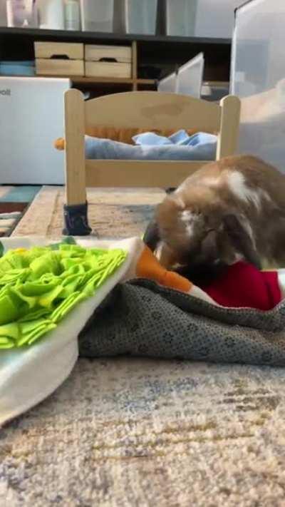 Don’t touch it. It’s my blanket!