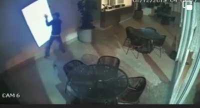 Esse burro tem que ser brasileiro