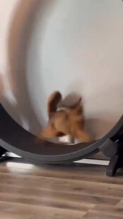 going full aerodynamic aeroplane mode