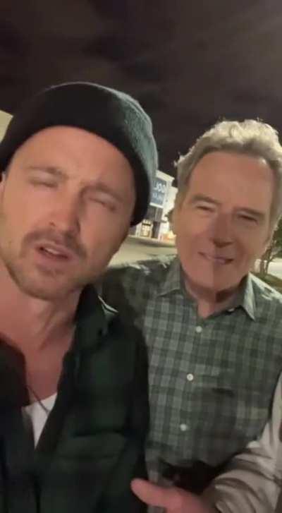 Jesse stop using the crystal meth as cat ears