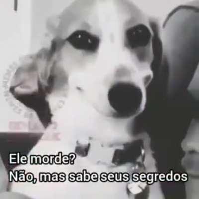 Fiquei com um leve medo dessa dog ( sla oq esta possuindo o corpo dele)
