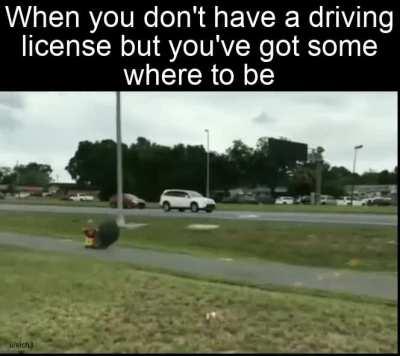 New mode of transport