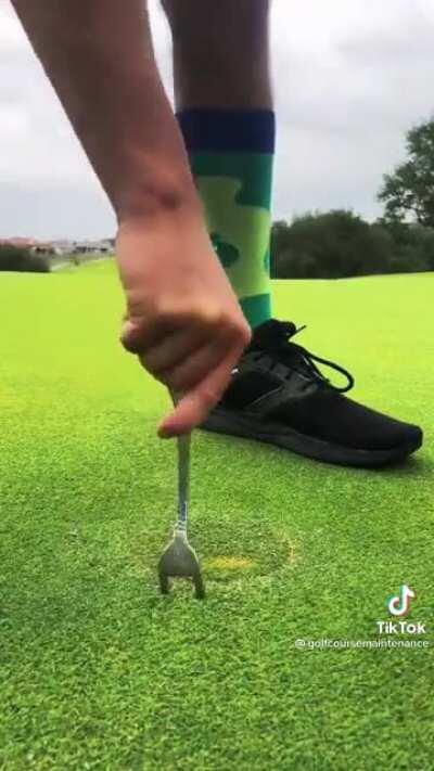 Fixing golf holes