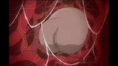 Uncensored Hentai Videos Of Dick Moving Inside